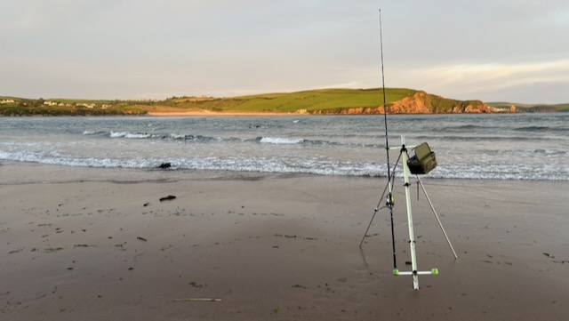 South Devon gilthead bream fishing June 2026 Kingsbridge Estuary Salcombe